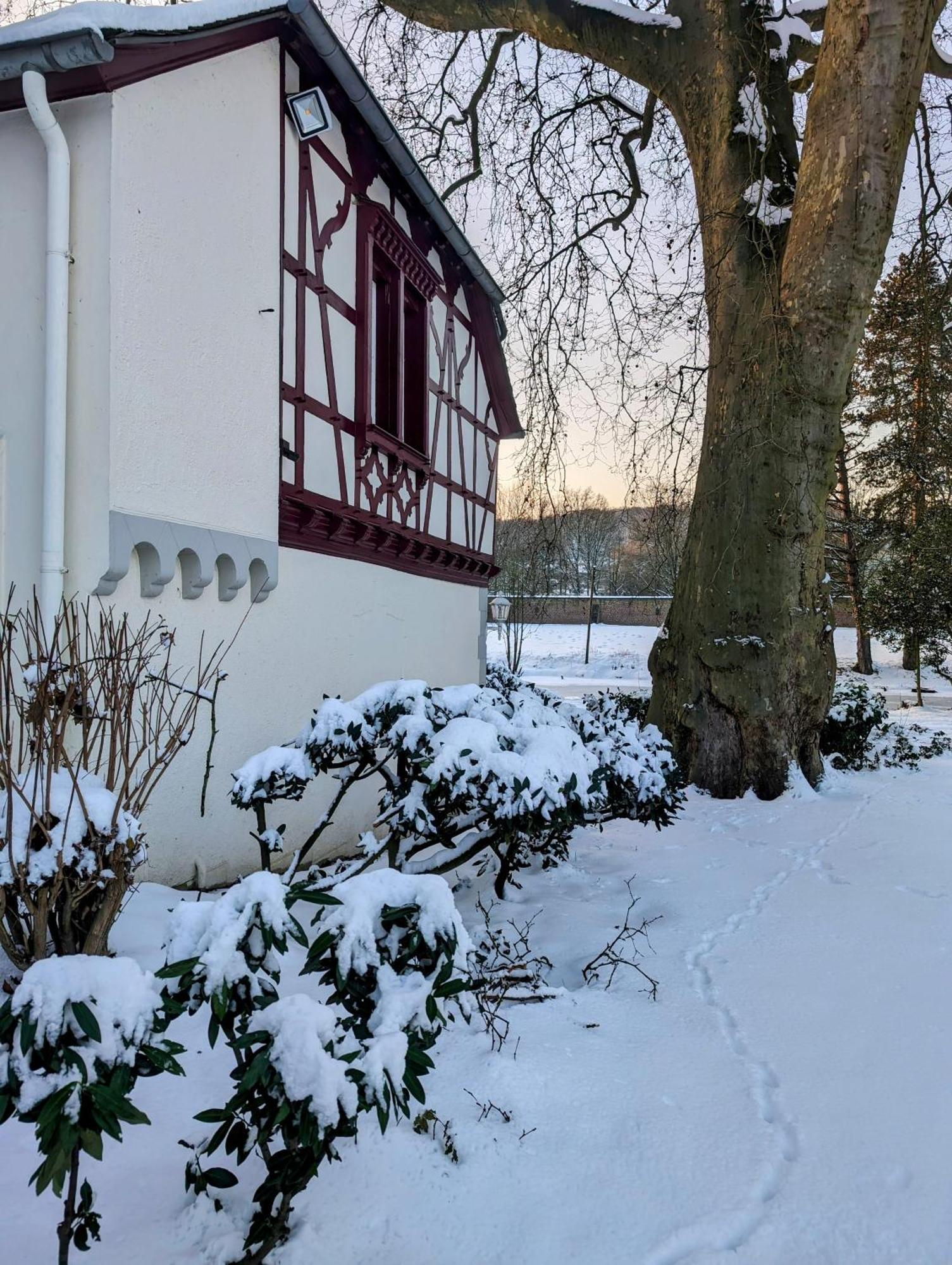 Apartments Am Schloss Rimburg Ubach-Palenberg Eksteriør billede